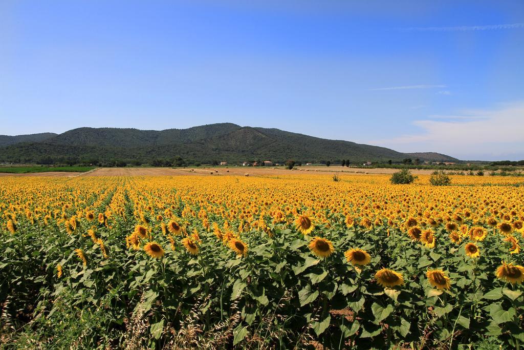 Appartamenti Pian D'Alma Punta Ala Exteriér fotografie